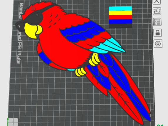 Macaw Bird of the Parrot Family