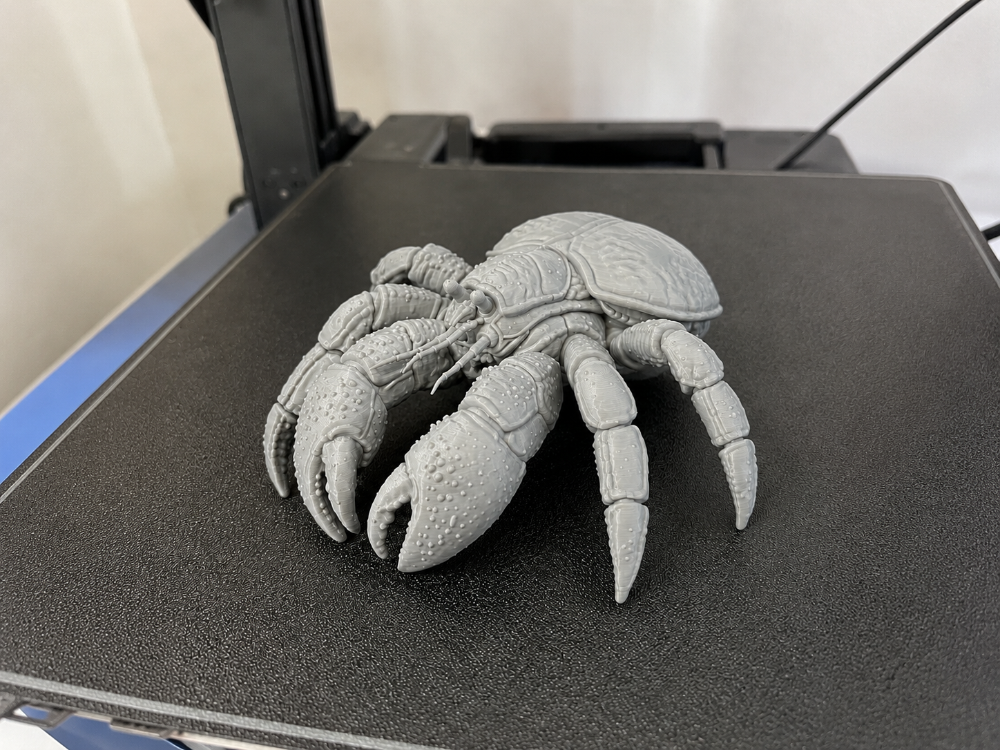 Coconut Crab Collectible STL