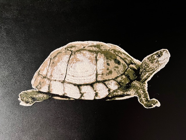 Hueforge Turtle