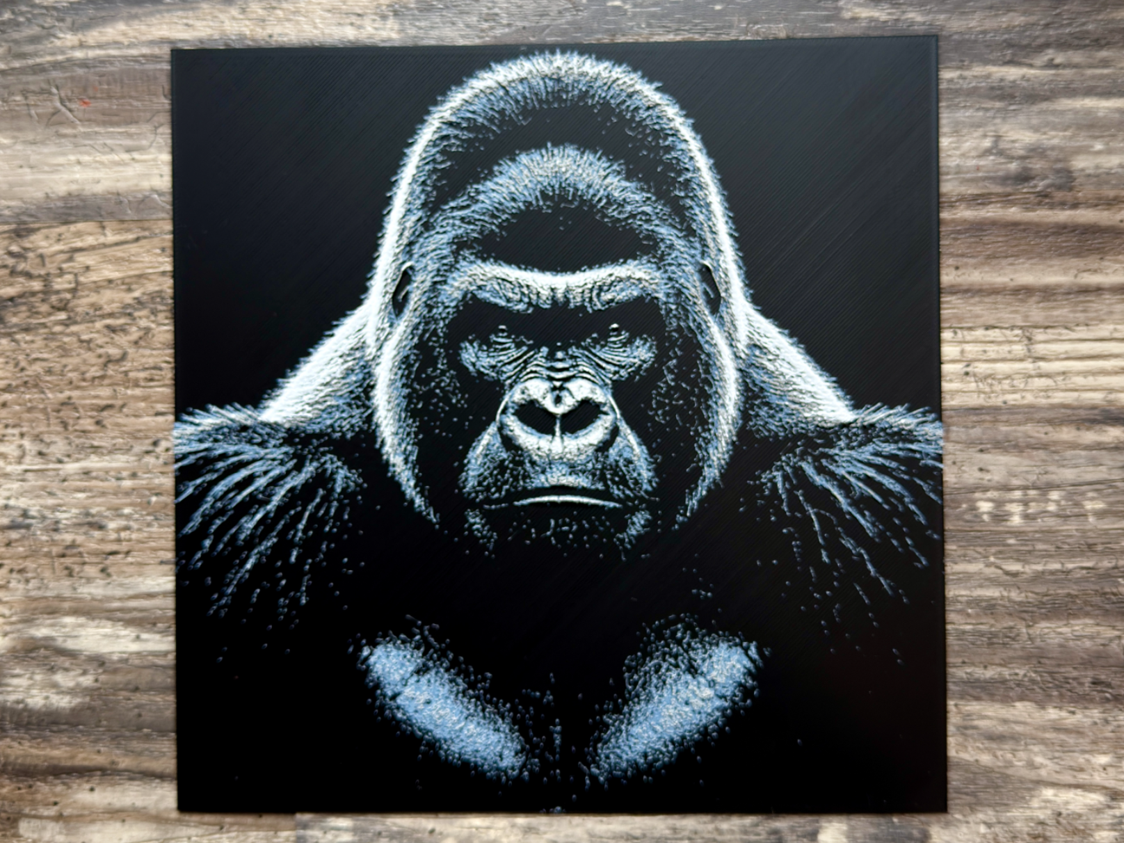 Gorilla Wildlife Series