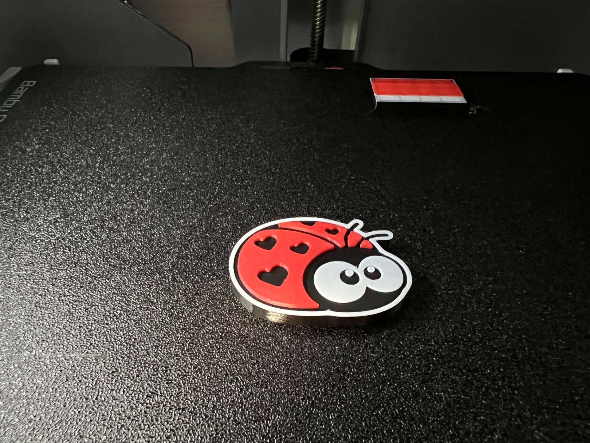 Cute Ladybug Badge