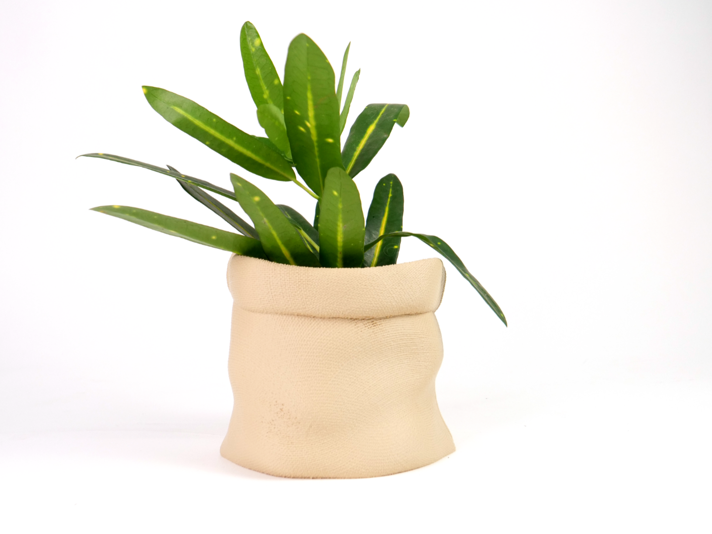 Cloth Sack Planter