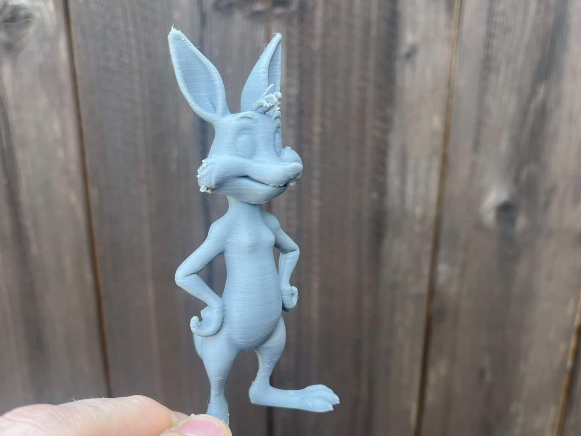 Coyote Looney Tunes