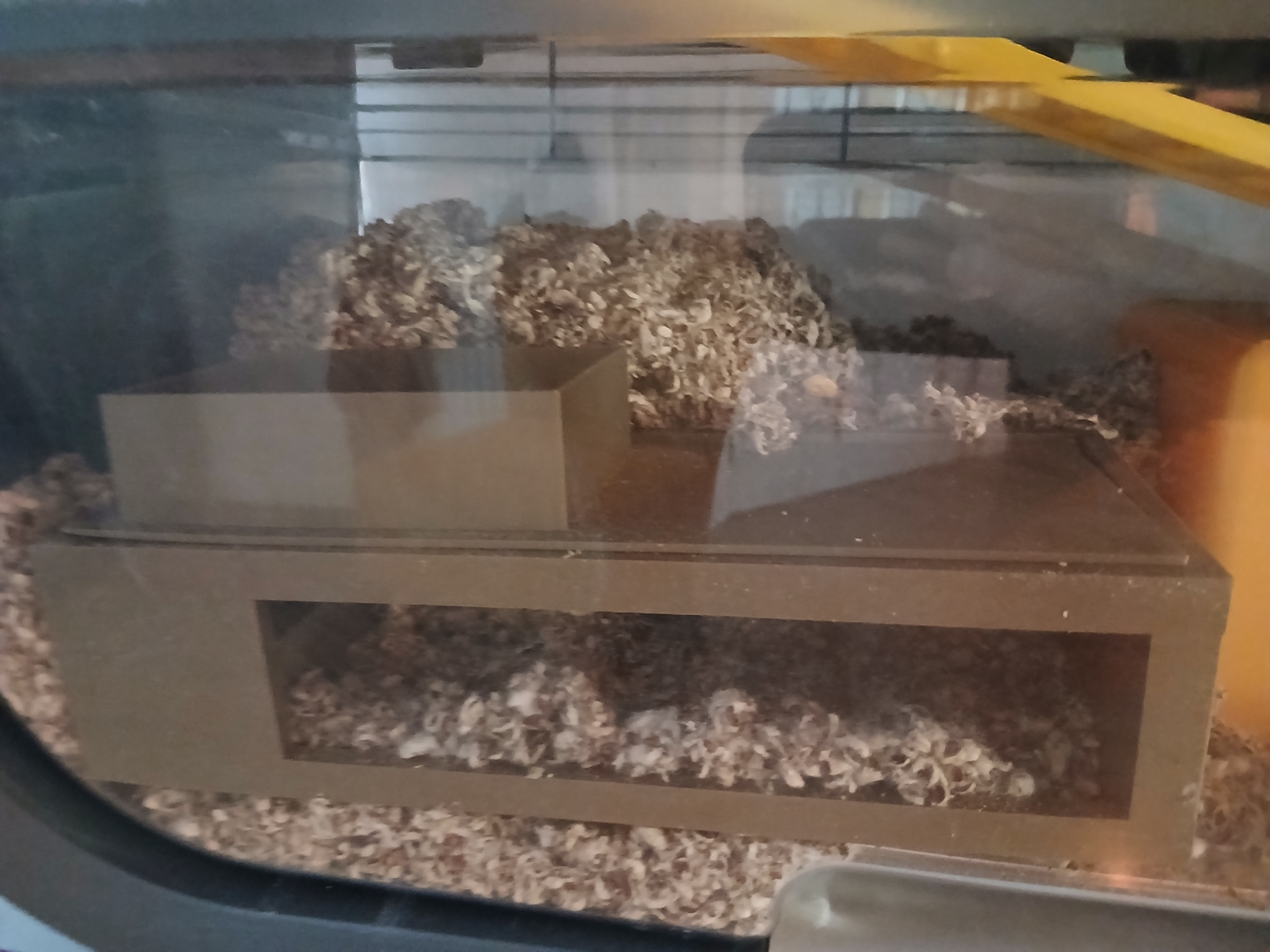 Medium size hamster cave house
