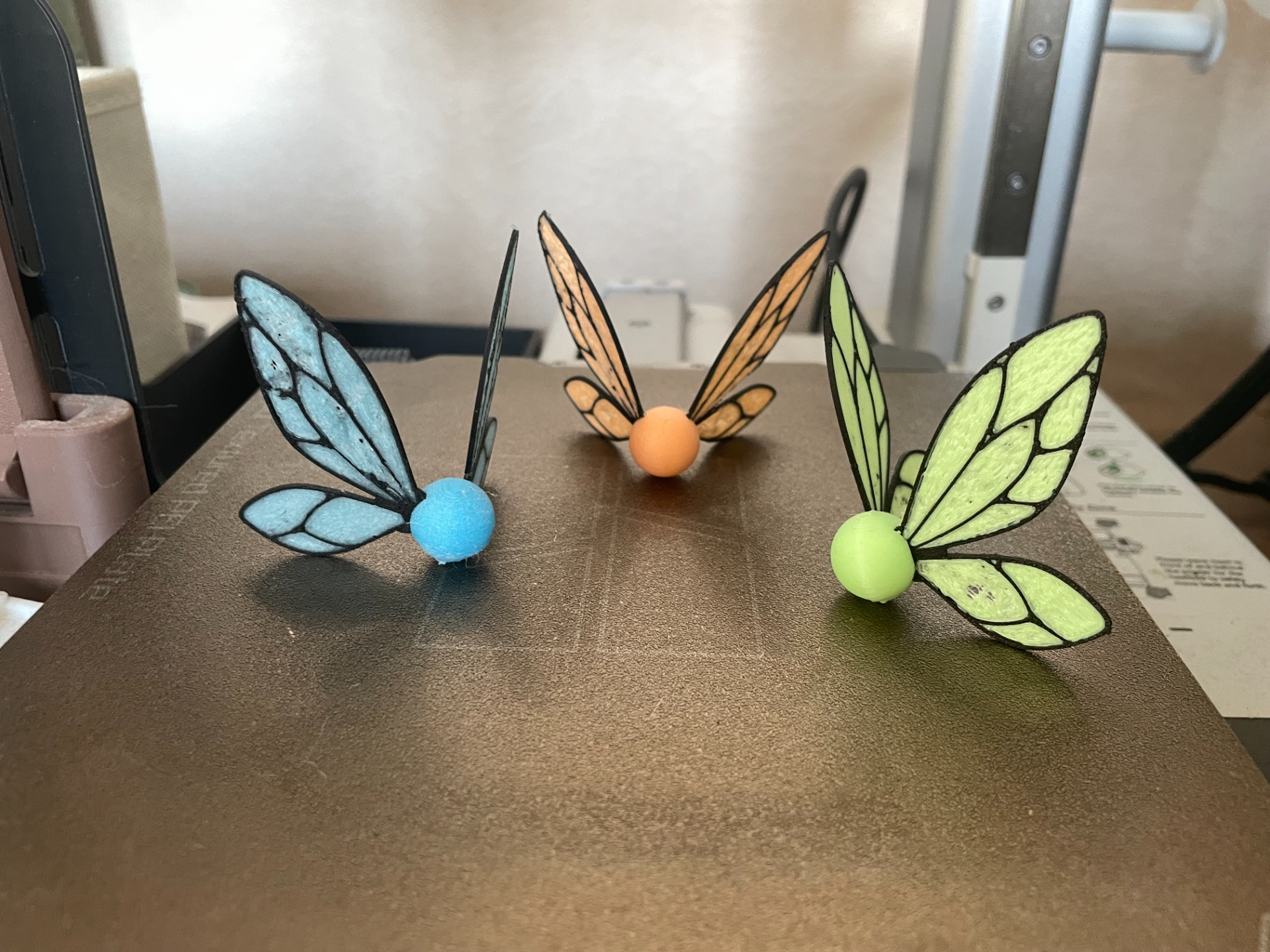PETITES LUCIOLES