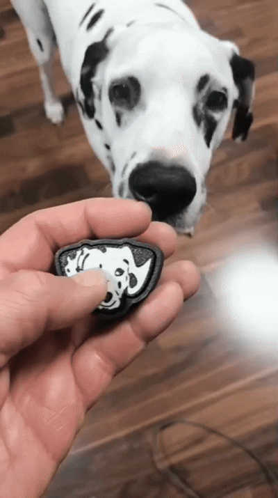 Dalmation keychain clicker.