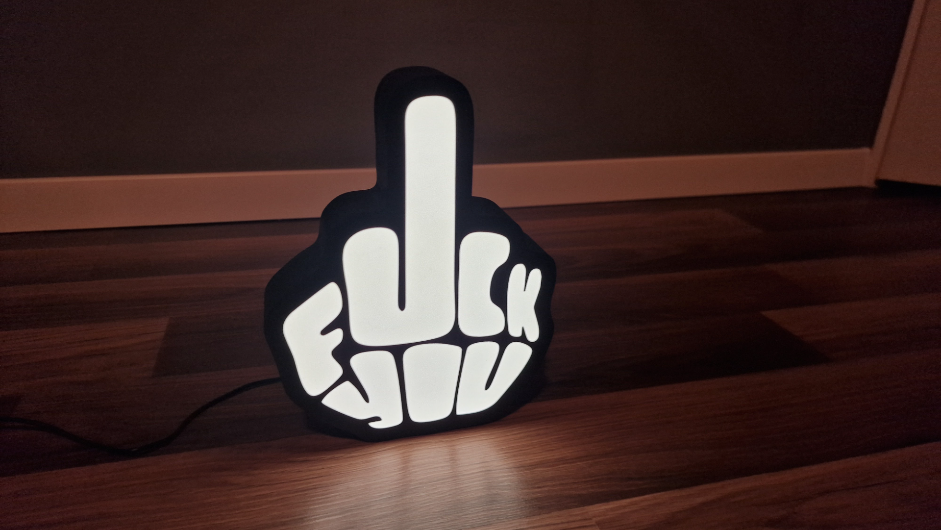 fuck you led box