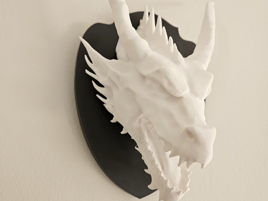 Wall Mounted Dragon Head
