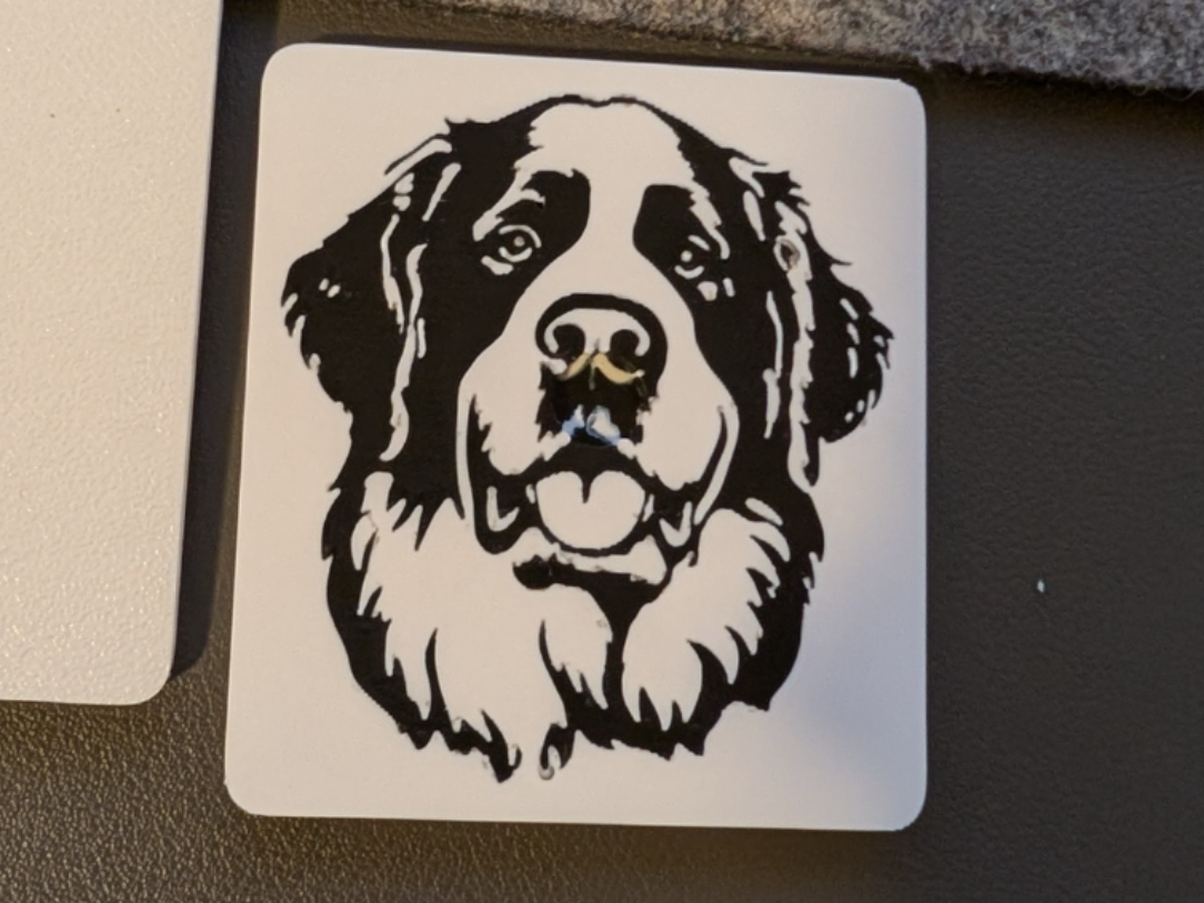 Saint Bernard Fridge Magnet Black & White Dog