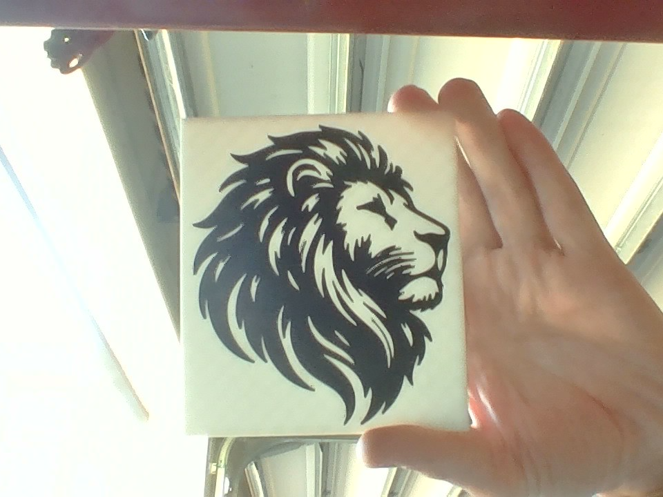 Lion logo