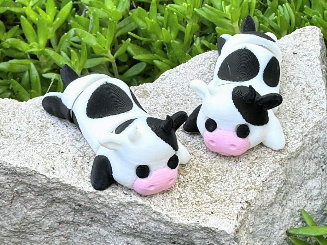 Cow Flexi