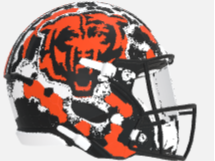Bears custom Helmet