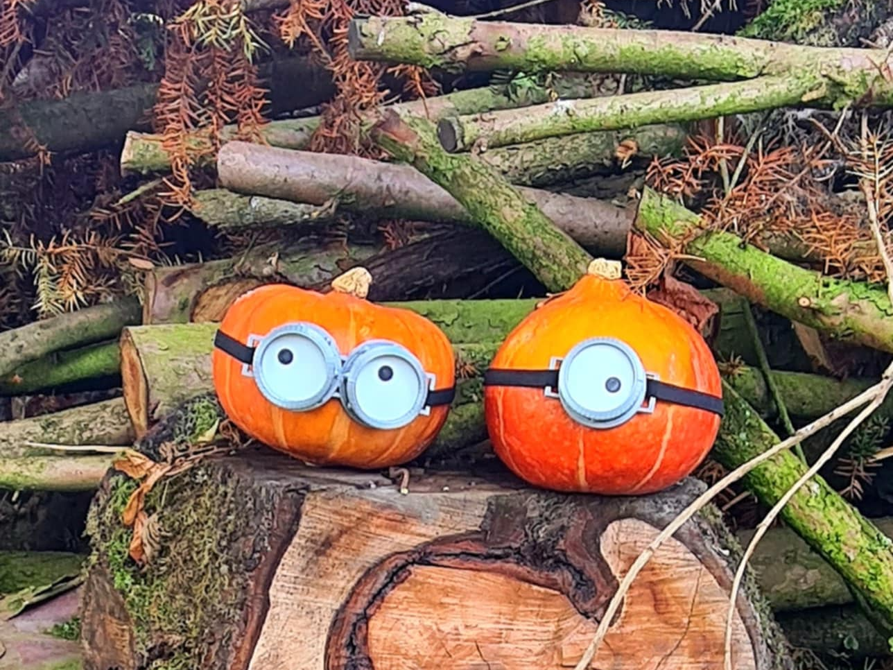 Minion Kürbis