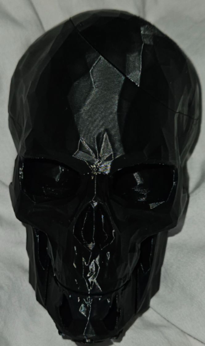 pratical skull