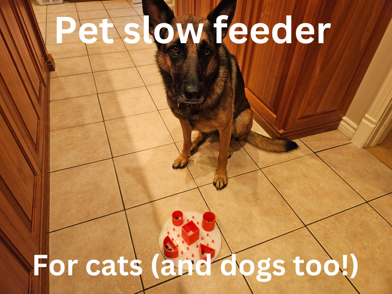 PET SLOW FEEDER
