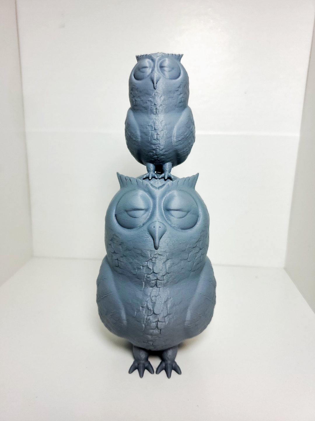 Sleepy Owl