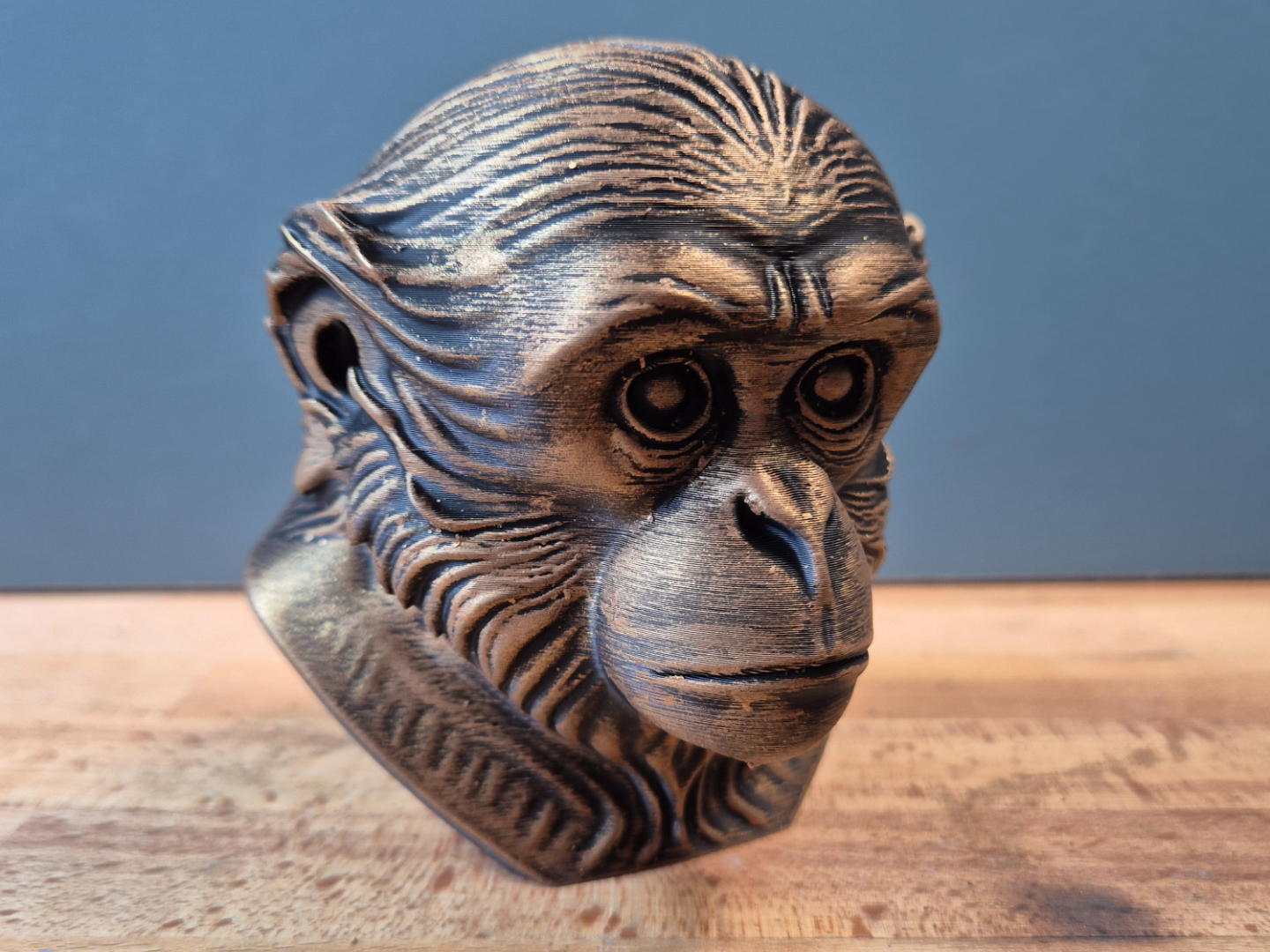 Gibbon Bust Model