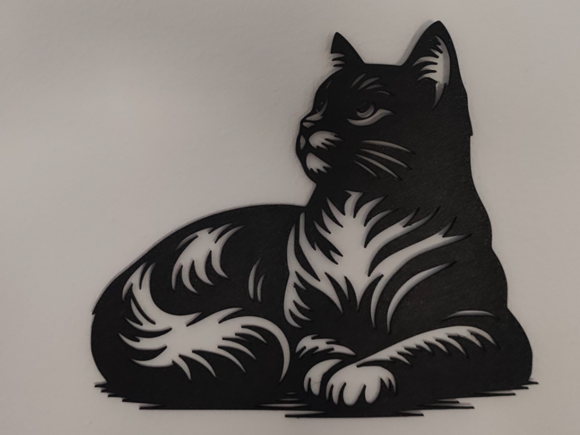 beautifull cat
