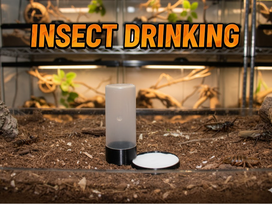 Anti-Drowning Insect Drinker