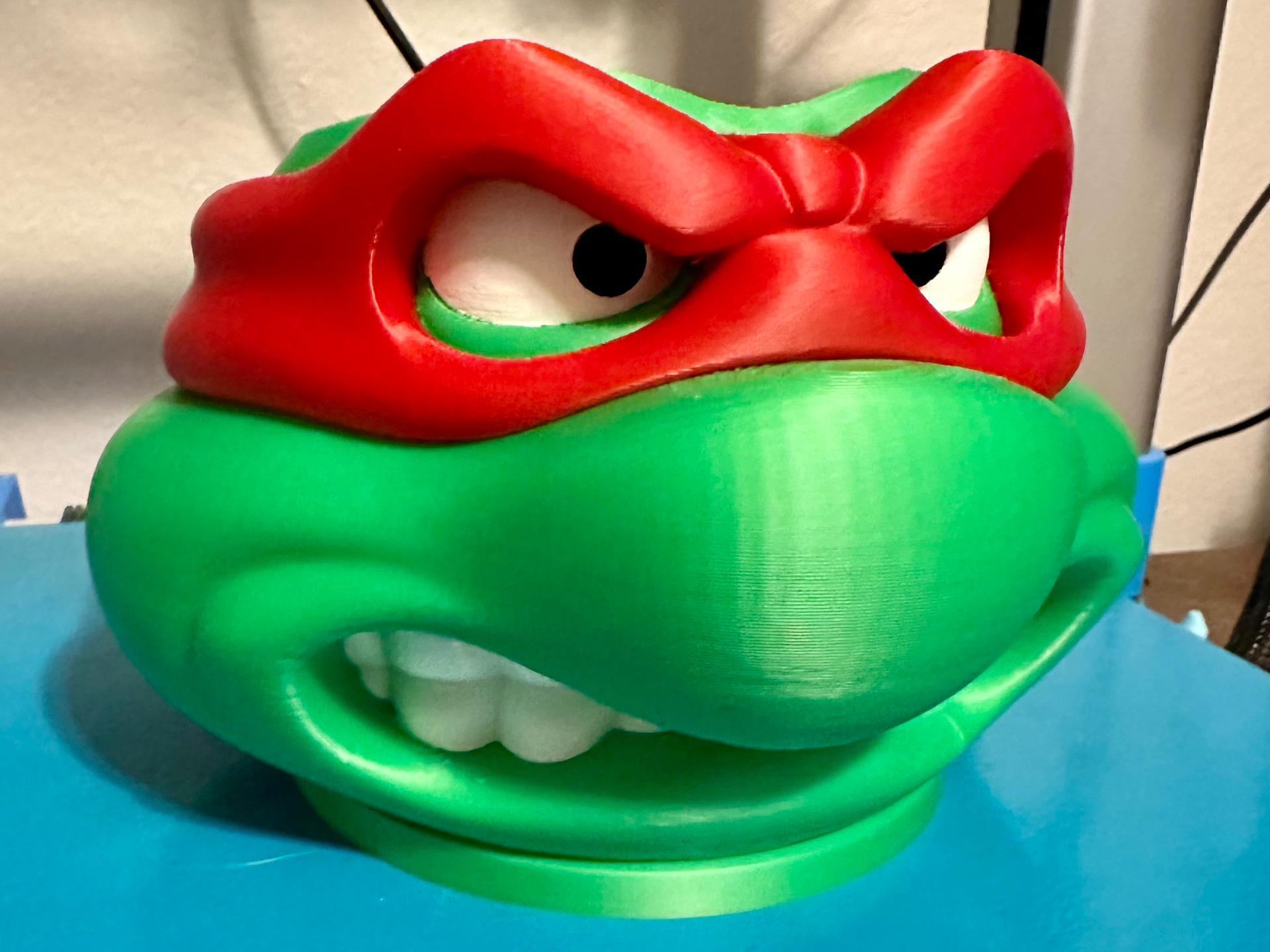 TMNT Head Planter and Drip Tray