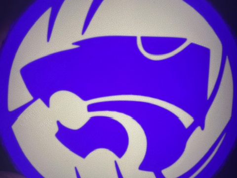 Powercat Volleyball Light Box
