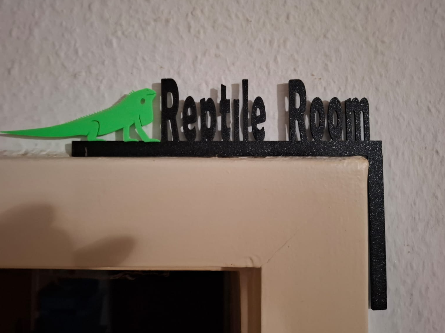 Reptile Room Schild mit Leguan, Türzarge,Türschild