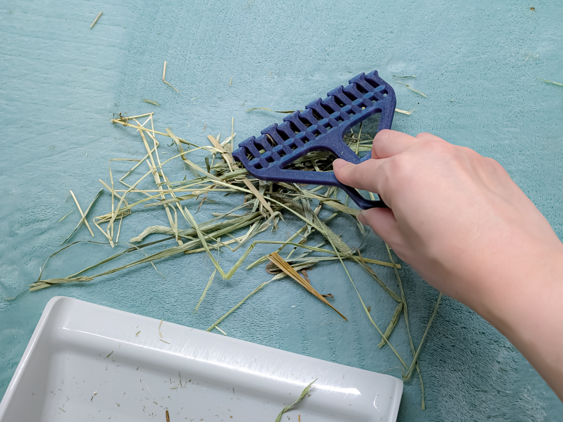 Carpet-Friendly Hay Cleanup tool