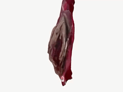 aesthetic vulva sculpture