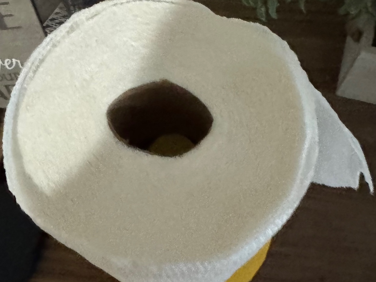 paper towel holder less than 4 1/2 hours on my P1S