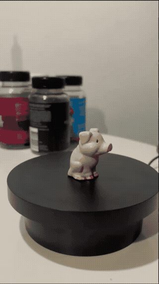 Cute Little Pig