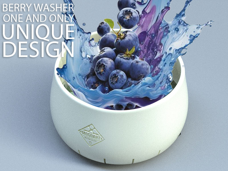Twister berry washer