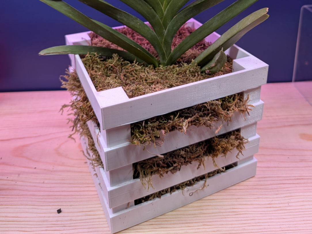 Vanda basket