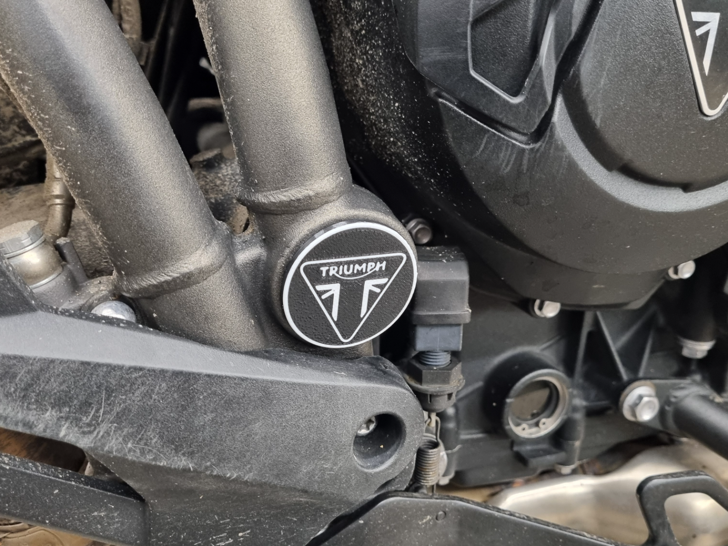 Triumph Tiger 800 Swingarm bolt cover