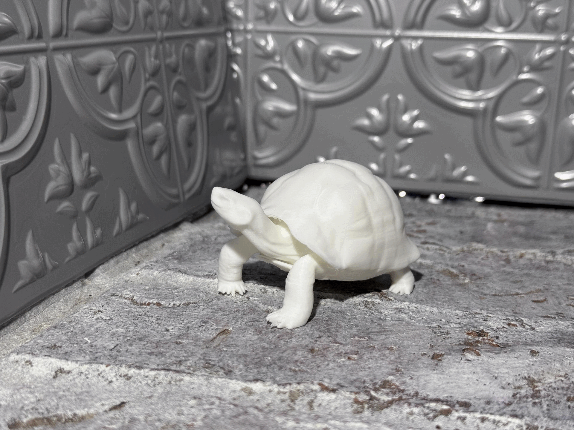 Realistic Turtle