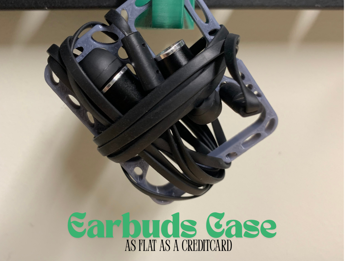 Earbuds Case