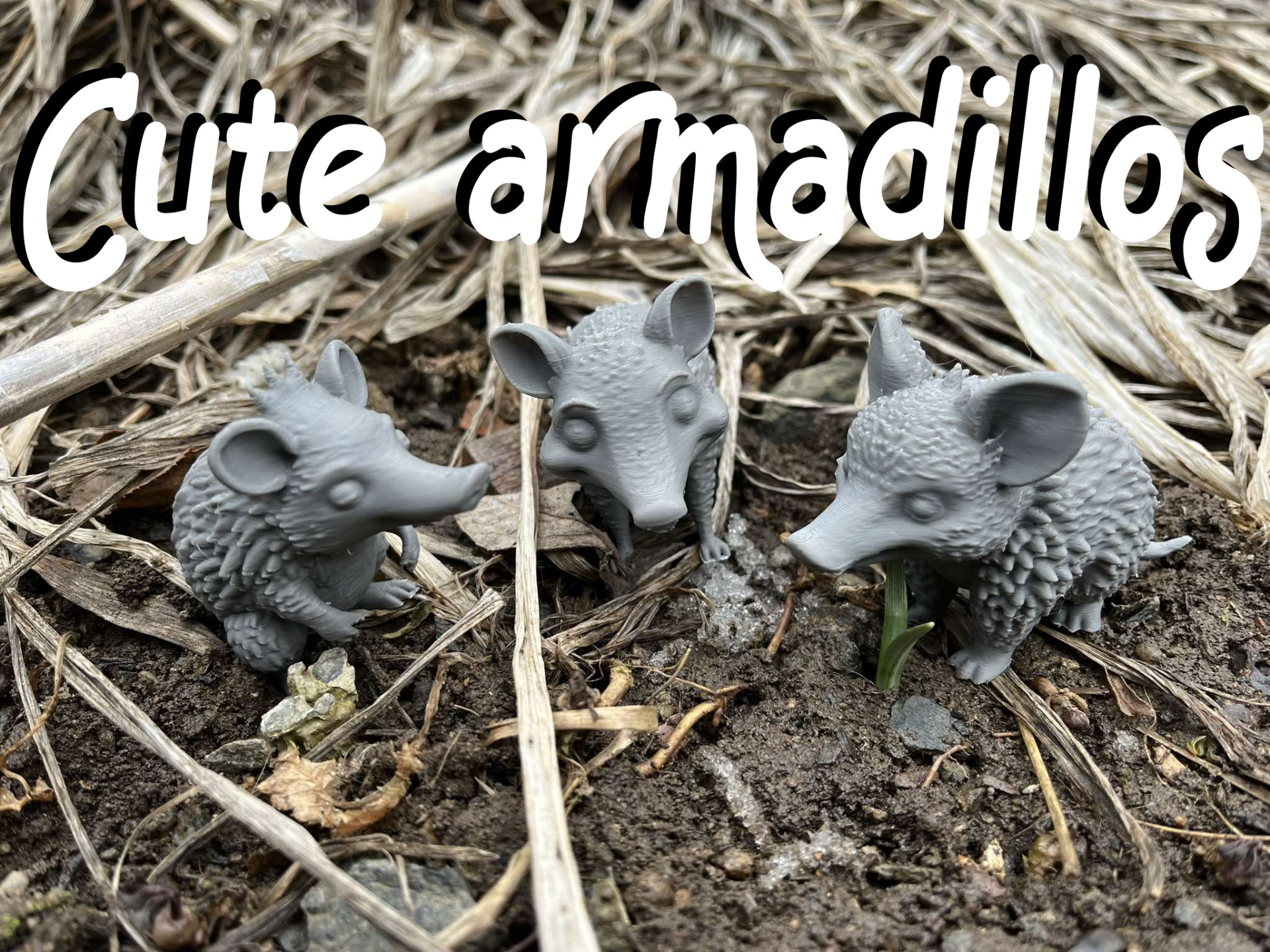 Cute Armadillos