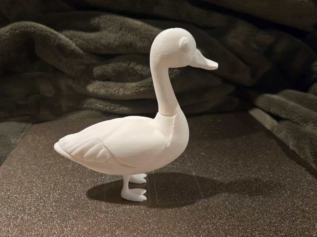 Mr. Quackers (Adorable Standing Duck)