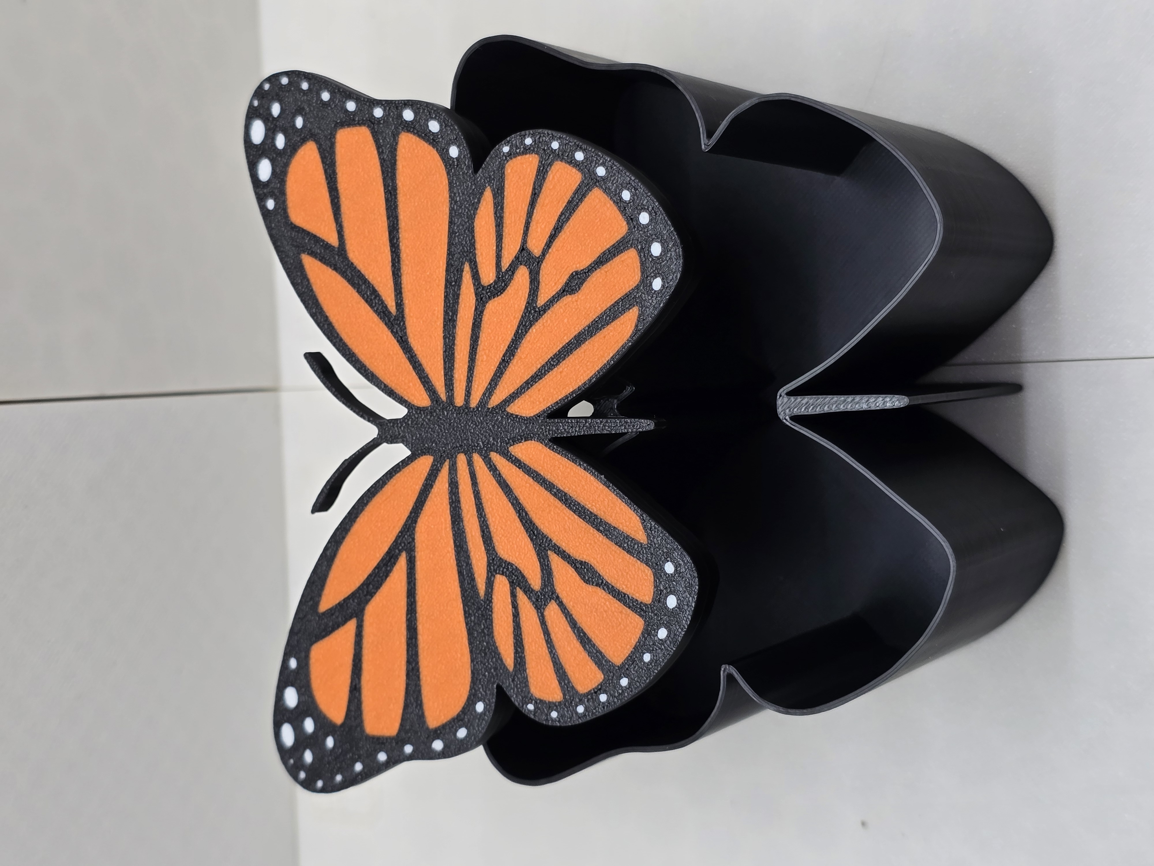 Butterfly Box