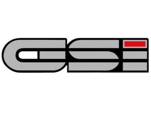 Opel GSi Logo Keychain