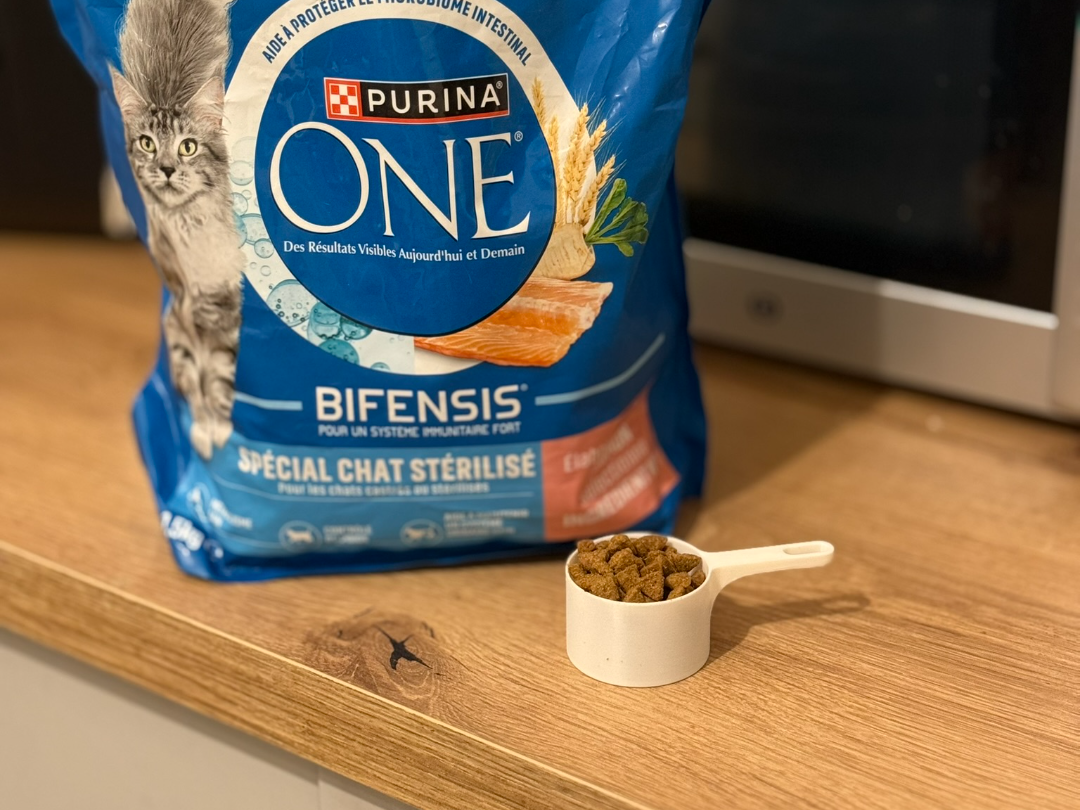 25g Cat Food Scoop - Perfect Portion Control