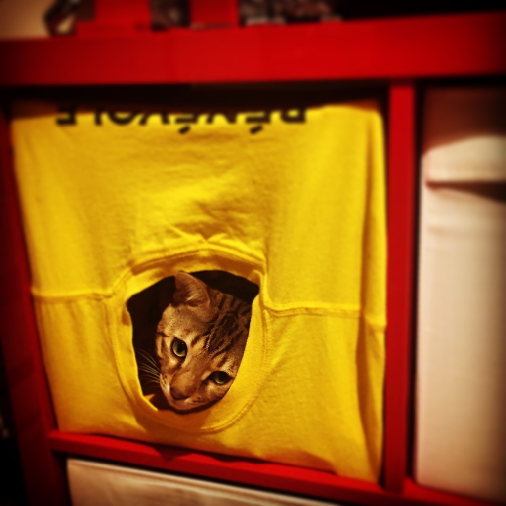 Ikea Kallax/Eket Insert for Cats