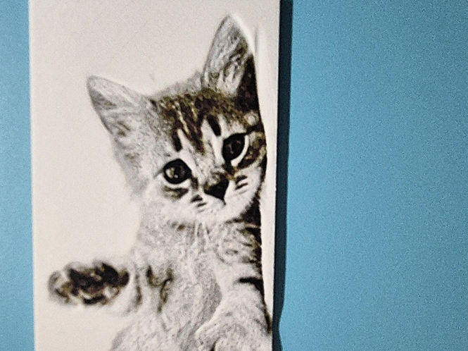 kitten bookmark