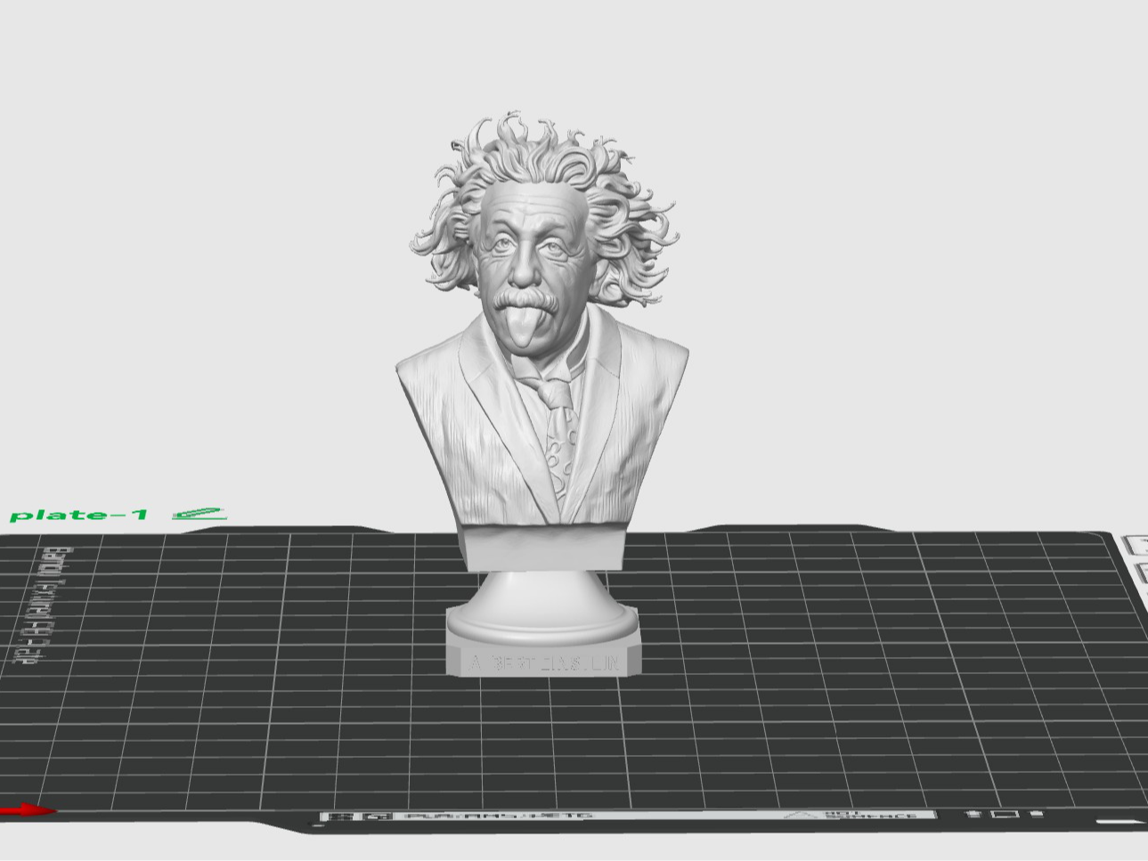 BUSTO ALBERT EINSTEIN