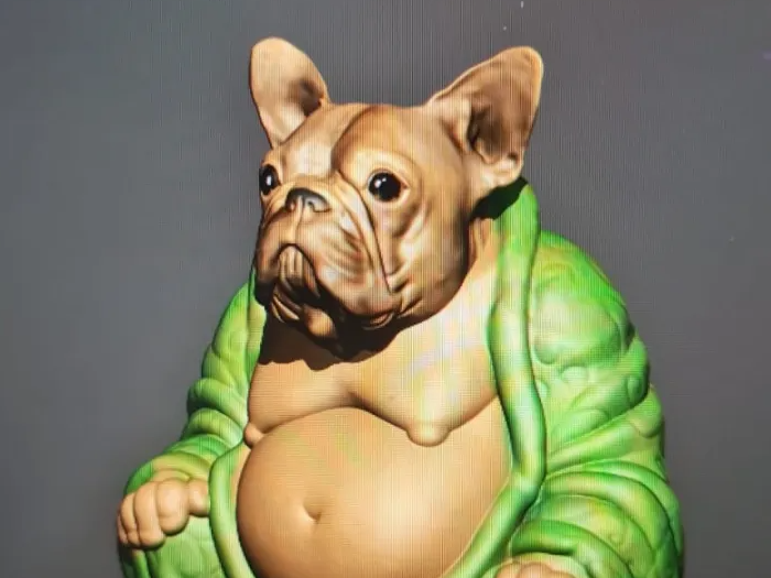 bulldog buddha