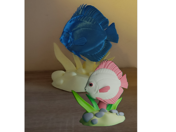 Discus - Tropical Fish Collection 02