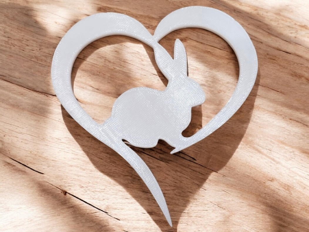 Bunny Heart wall art 2d