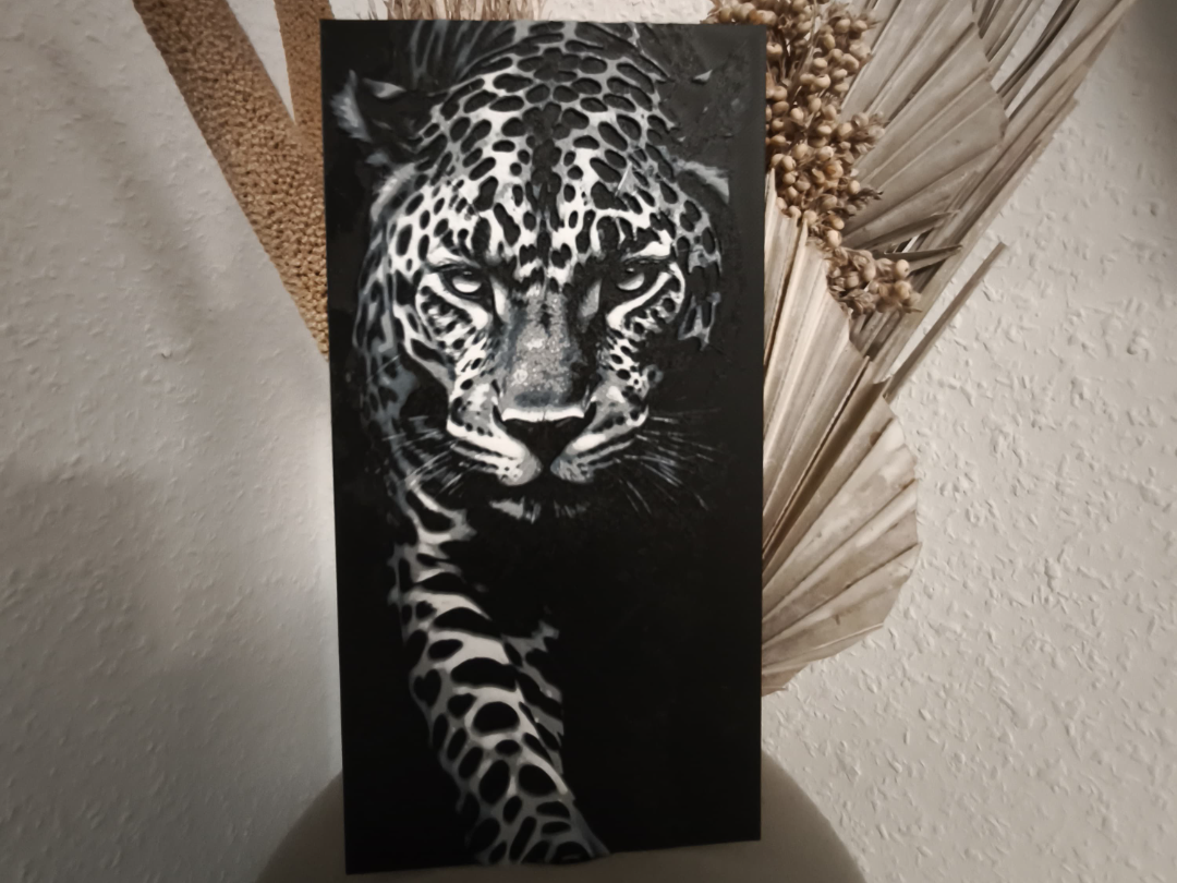 Wild Leopard Cat 3D