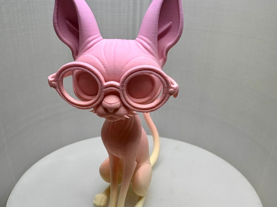 Professor Whiskers – The Scholarly Sphynx