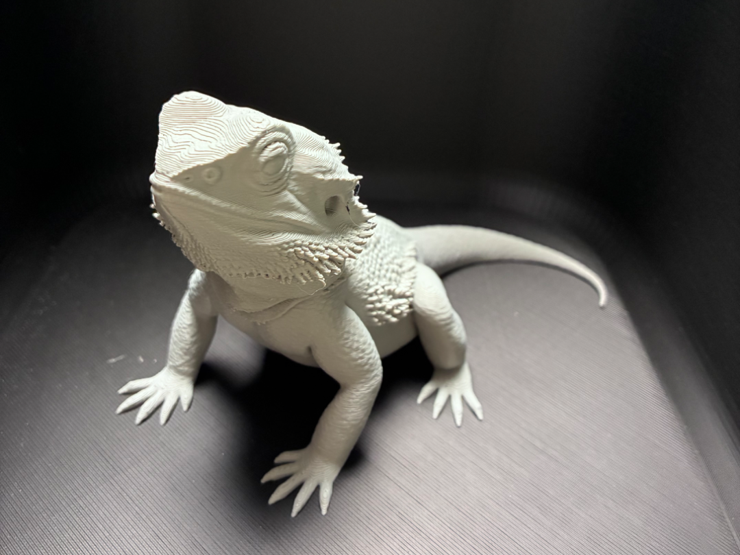 Realistische Bartagame – Detailliertes 3D Modell