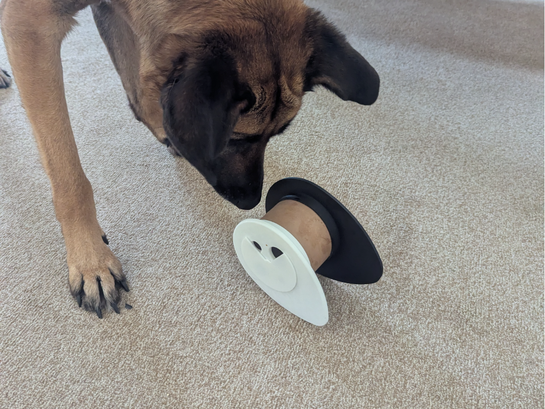 Pet/Dog Toy